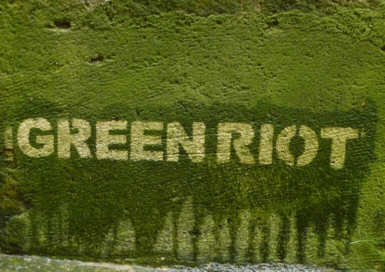 Green Riot, water graffiti, Bordeaux