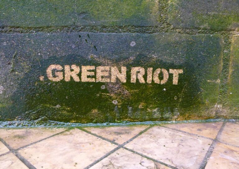 Green Riot, water graffiti, Bordeaux