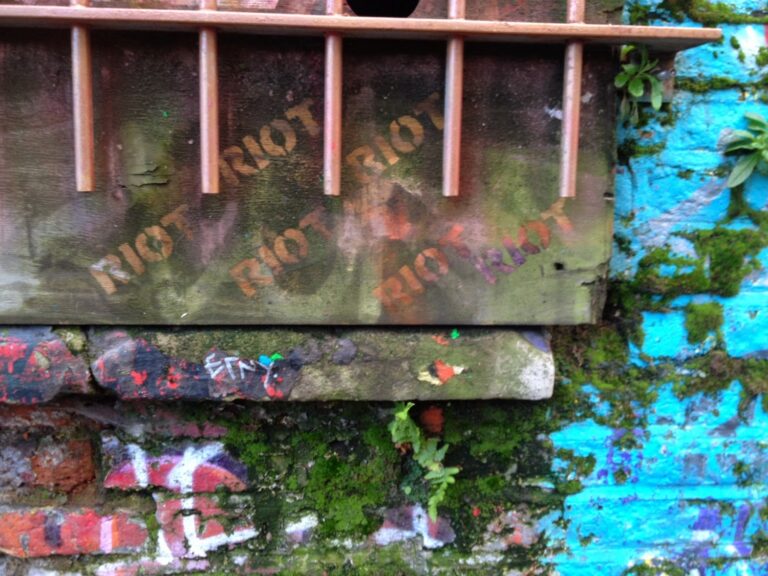 Green Riot, Water Graffiti, London 2014