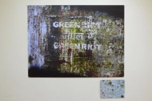 Jungle Me, Green Algae study, IGNOU, New Delhi 2014