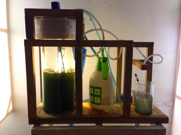 Machine 3, Bioreactor, Algae, by Green Riot 2013
