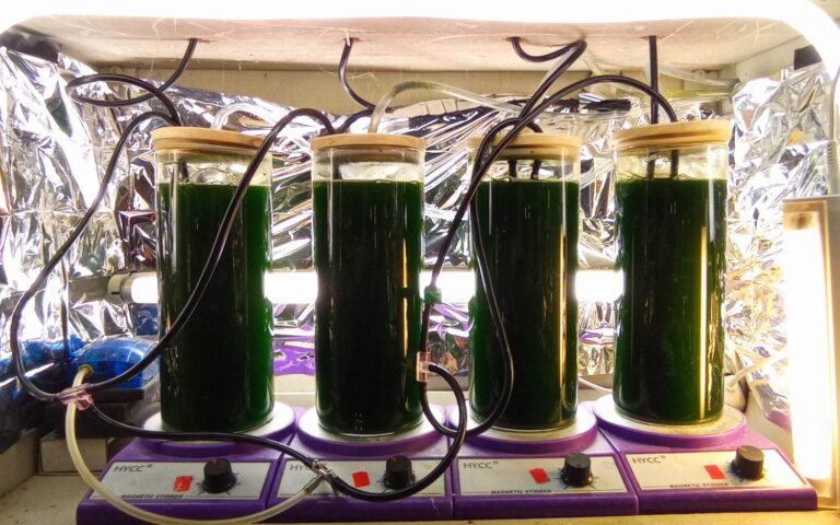 Machines, photobioreactor, Algae, by Green Riot 2022 (4)