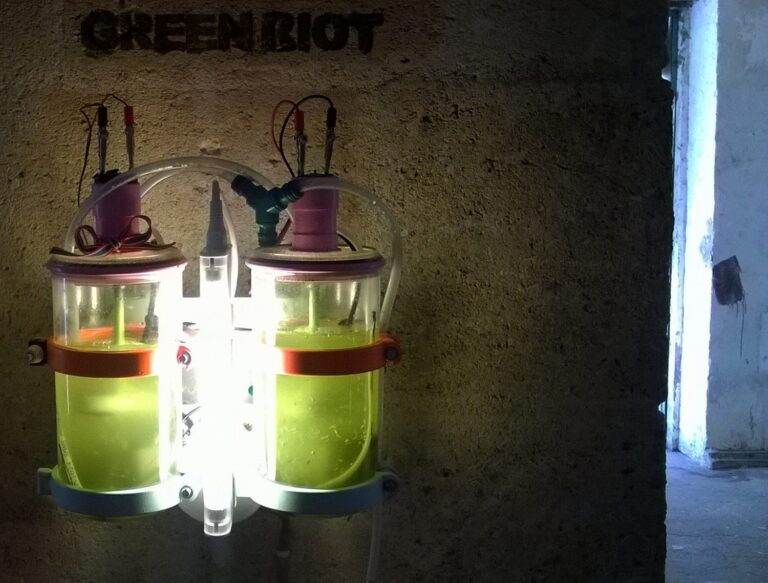Survive, Machine 6, Bioreactor, Algae, by Green Riot 2017