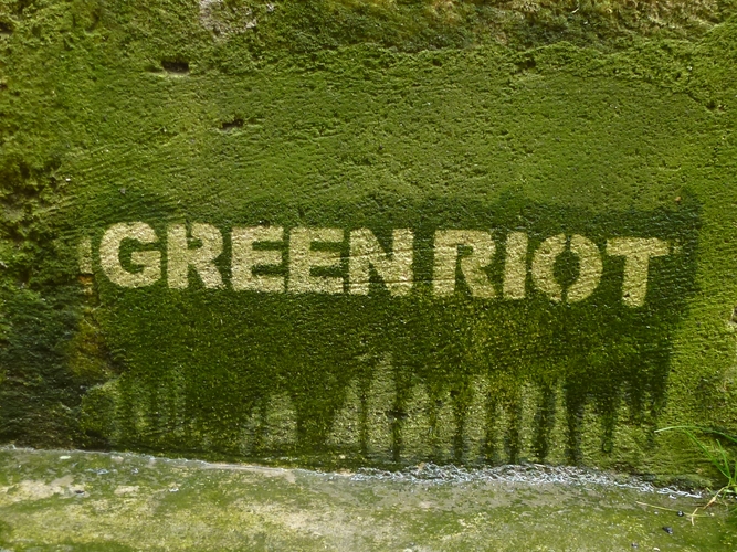 green riot green graffiti